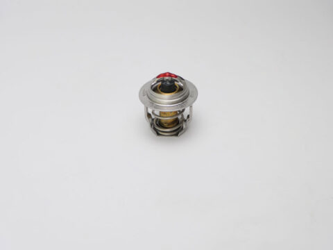 Thermostat for Kubota D902 Engines
